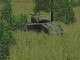 Sherman Sherman
