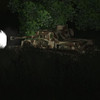 Capture de World War II Online