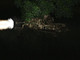 Offensive de nuit : un Panzer IV G harcèle les défenses. Offensive de nuit : un Panzer IV G harcèle les défenses.