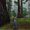 Capture de Star Wars Galaxies