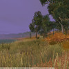 Capture de Star Wars Galaxies