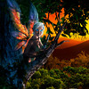Fae - Echoes of Faydwer