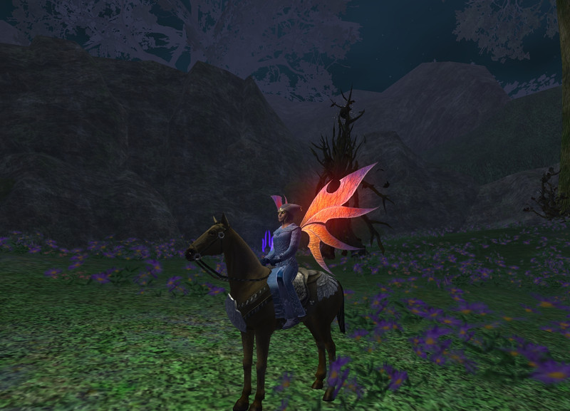 Nouveau model de chwal 1