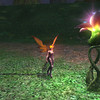 fae_face2