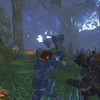 sc�ne de combat - Echoes of Faydwer