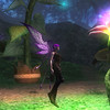 fae_profil