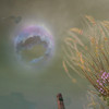 Capture de Aion