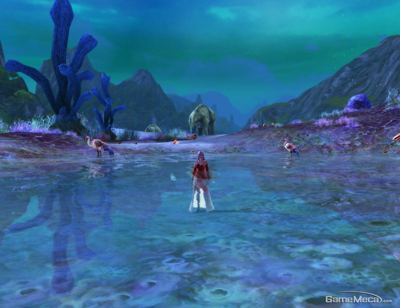 Lac �lys�en