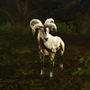 Capture de Aion