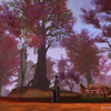 Screens cbt - Les asmodiens d�barquent n�5