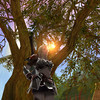 Elys�enne sous un arbre