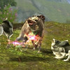 bestiaire 7