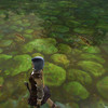 Capture de Aion