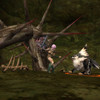 Capture de Aion