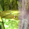 The red dragon altar 2