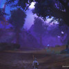 For�t asmodienne 2