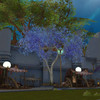 Capture de Aion