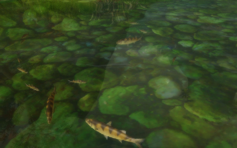 Capture de Aion