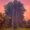 Capture de Aion