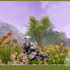 Elys�enne flower power