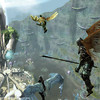 Aion en vol