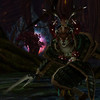 CBT 8�me semaine - officiel NCsoft n�3
