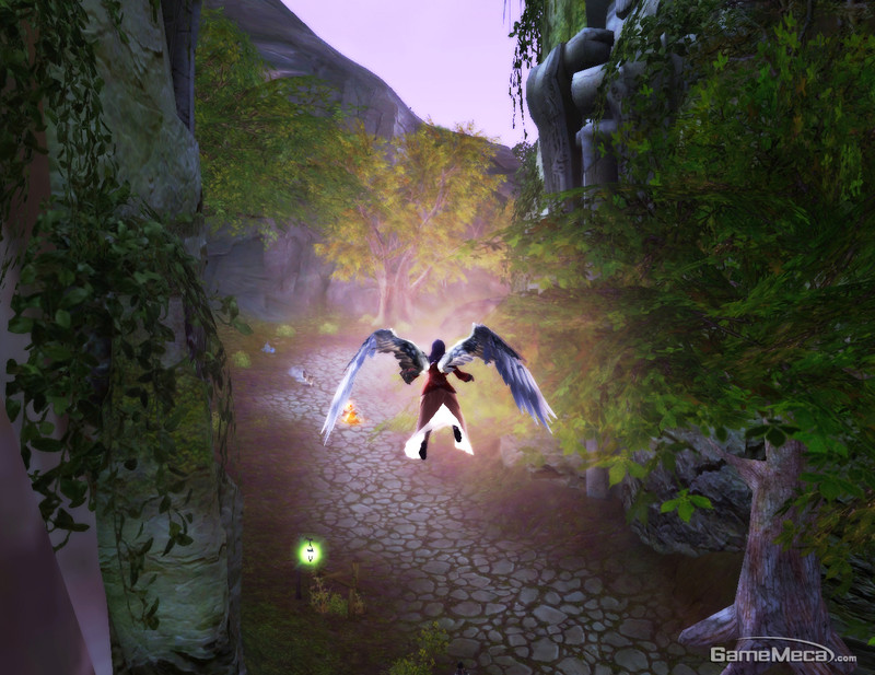 Vol dans une petite val�e
