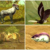 bestiaire 1