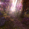 Aion 2.5 : Refonte graphique 