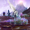 Etrange crystal