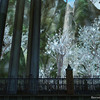 Capture de Aion
