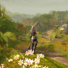 Capture de Aion