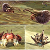 Capture de Aion