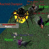 Premier champ tu� sur UO : Mephitis