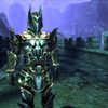 Amure Sentinelle Guerrier Factions