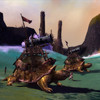 Tortues Luxonnes