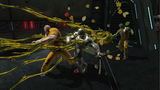 Image de #33541 Image de #33541