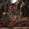 Capture de Magic the Gathering Online