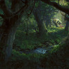 Capture de Magic the Gathering Online