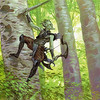 Capture de Magic the Gathering Online