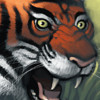 Capture de Magic the Gathering Online