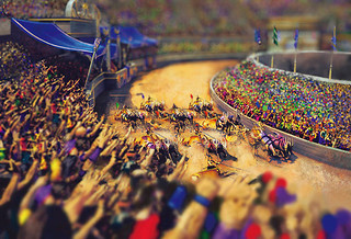 L'Hippodrome de Segovia L'Hippodrome de Segovia