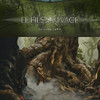 Capture de Magic the Gathering Online