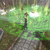 Capture de Neverwinter Nights