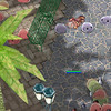 Capture de Ragnarok Online