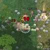 Capture de Ragnarok Online