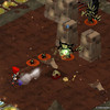 Capture de Wakfu