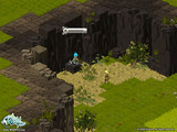 Wakfu Wakfu