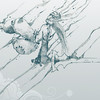 Capture de Wakfu
