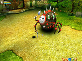 Capture